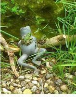 Tiere im Garten C.Schmieder